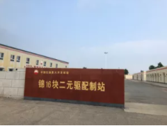 聚表二元驱技术